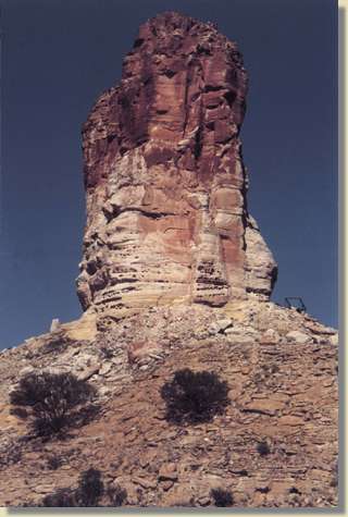 zurck