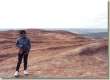 Ayers Rock
