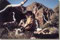 Standley Chasm