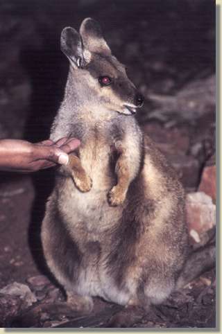 zurck